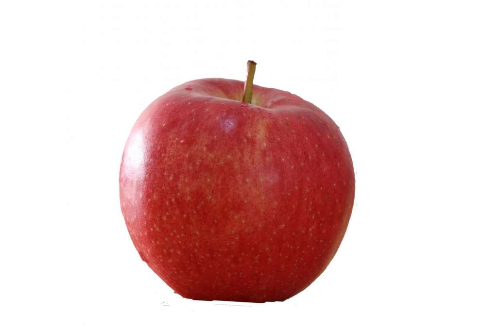 Apfel