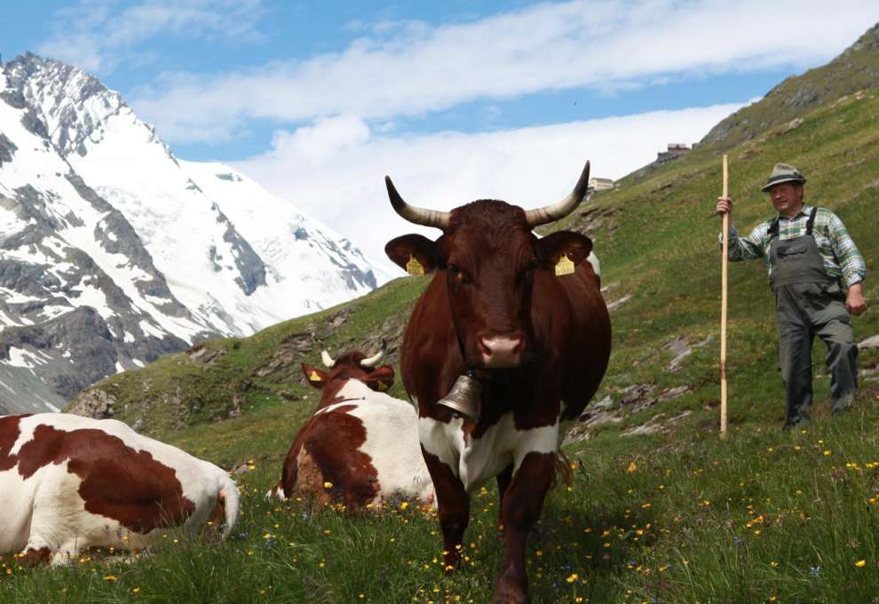 Großglockner