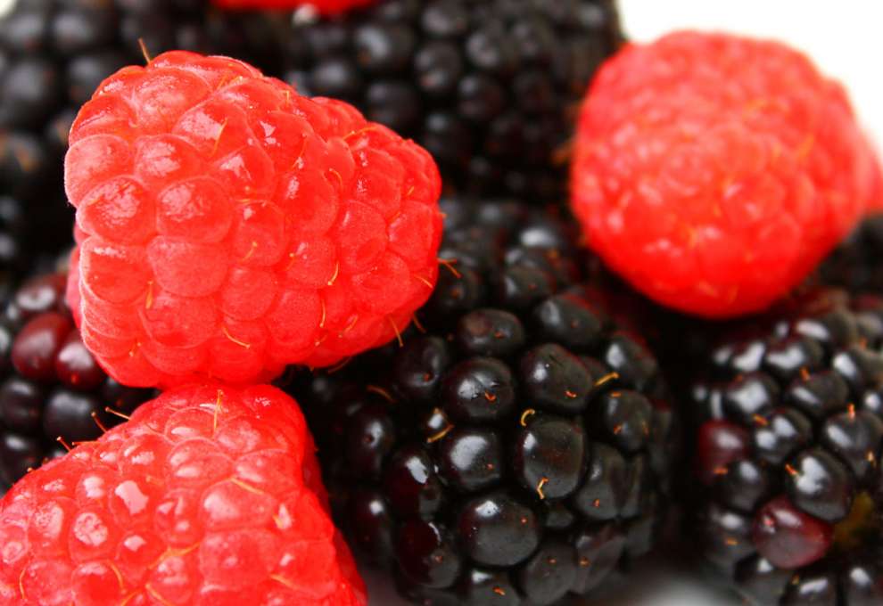 Himbeeren und Brombeeren