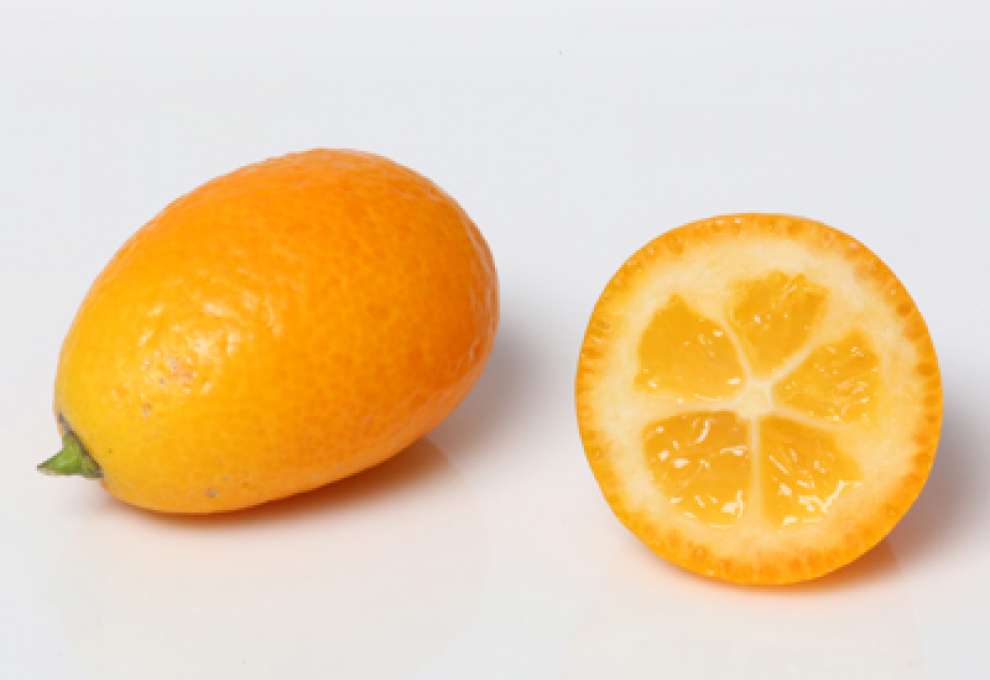 Kumquat