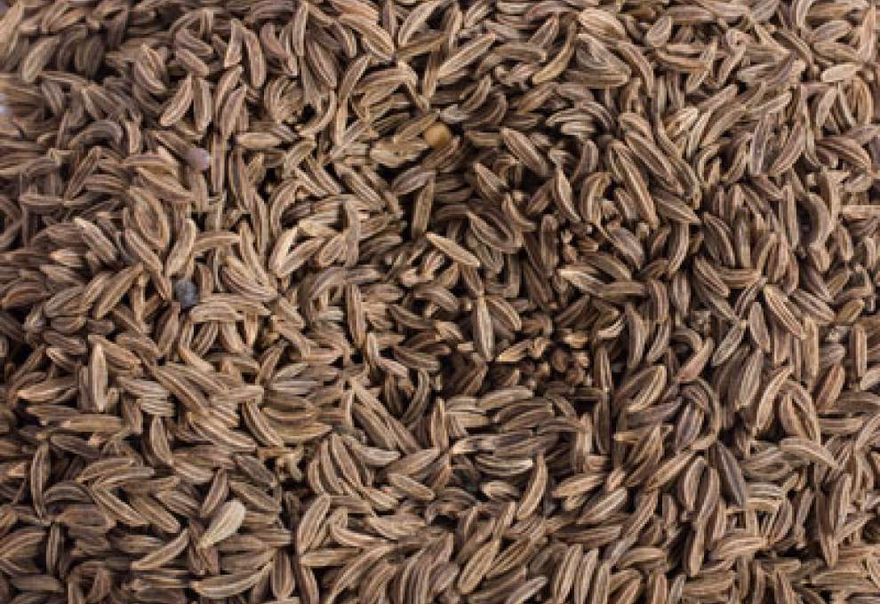 Warmende Gewurze Lebensmittel Neuigkeiten Kochen Kuche