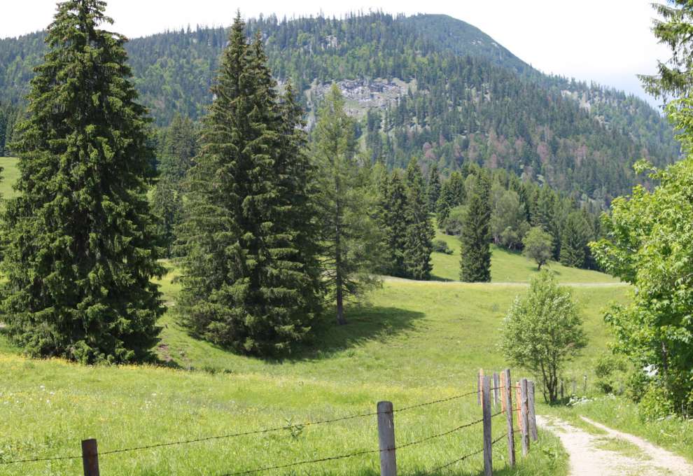 Wanderung zur Singerhauserhütte