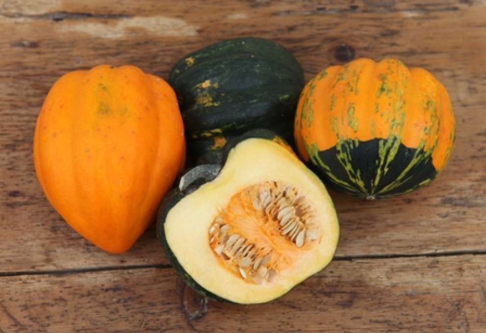 Wissenswertes Kurbissorten Neuigkeiten Kochen Kuche