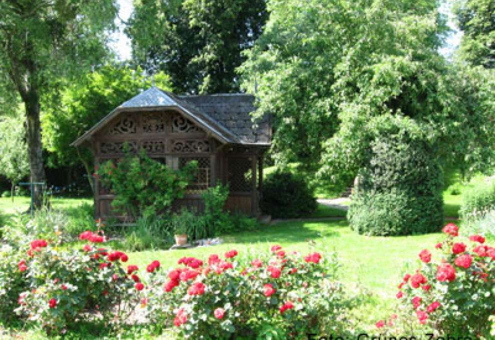 Single kochkurs gleisdorf
