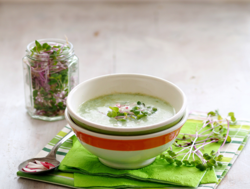 Kohlrabicremesuppe mit Rettich-Keimpflanzen