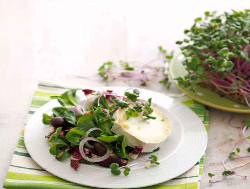 Vogerlsalat mit gratiniertem Ziegenkäse