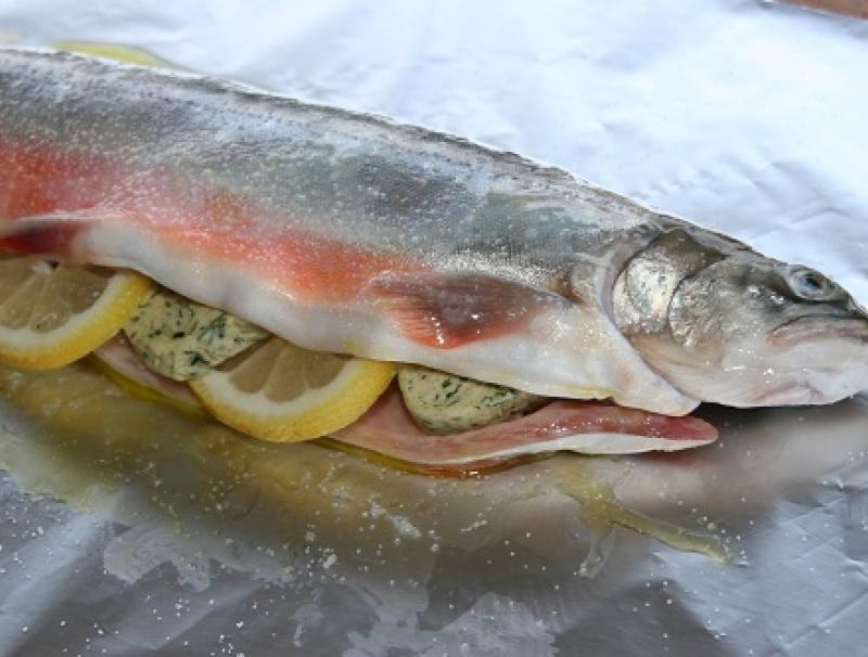Fisch aus der Asche 
