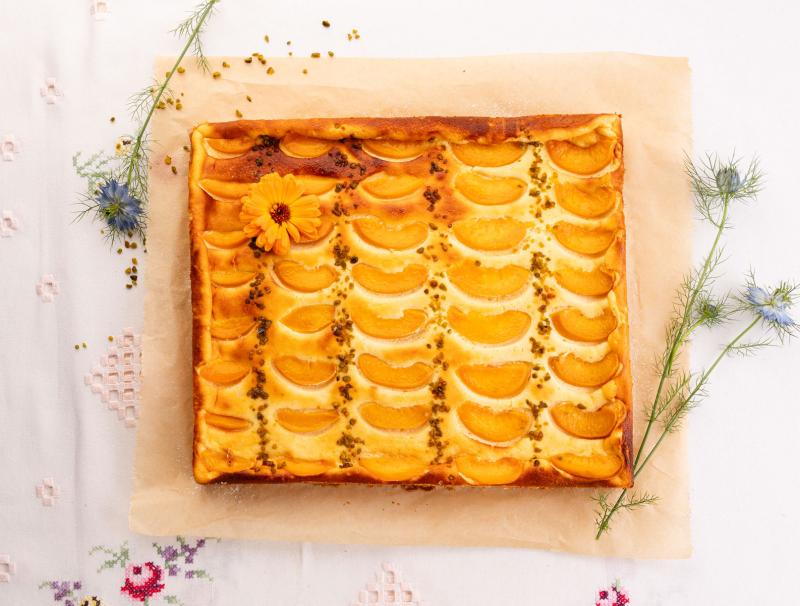 Topfenschnitte