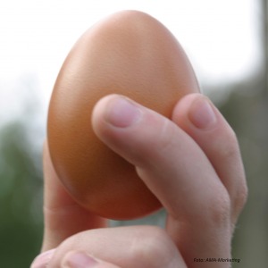 Hand mit Ei
