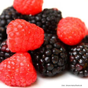 Himbeeren und Brombeeren