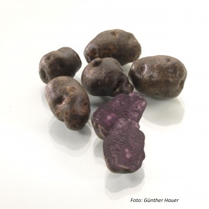 Blaue Kartoffeln