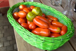 Leuchtendes Grün mitten in kräftigem Rot - Tomatensorten gibt es viele...