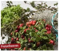 Preiselbeeren